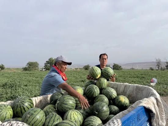 国配吃瓜基地,揭秘娱乐圈幕后风云
