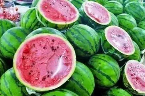 只吃虫不吃瓜,探寻只吃虫不吃瓜的神秘生物之谜