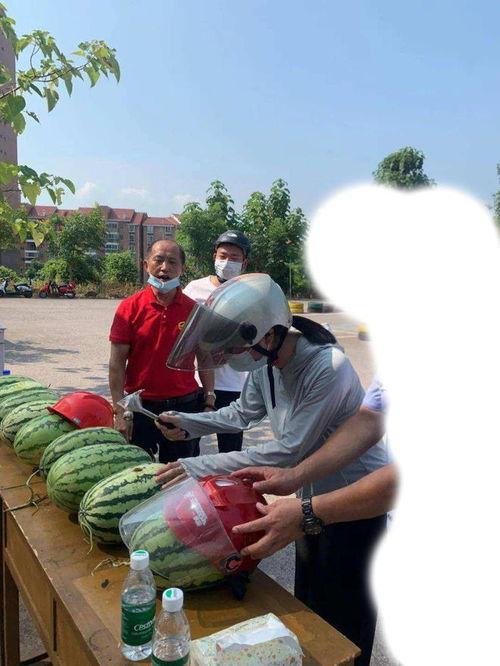 甘肃吃瓜事件,一场引发社会关注的网络热议