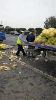 许昌吃瓜观众多吗,吃瓜群众云集，热议焦点不断