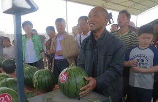 成武最新吃瓜群众