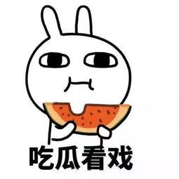 吃瓜出了情感问题,揭秘“瓜农”们的内心挣扎