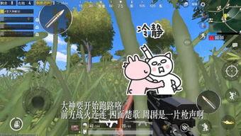 阿麻吃呆瓜,一场欢乐的美食之旅