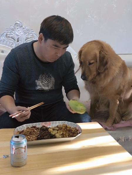 吃瓜和议论的区别,揭秘网络舆论的边界与智慧