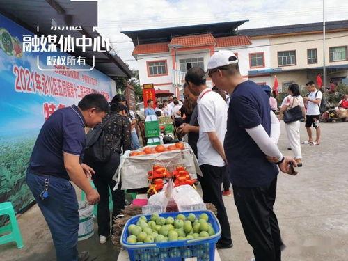 永川吃瓜群众新闻,最新新闻事件深度解析