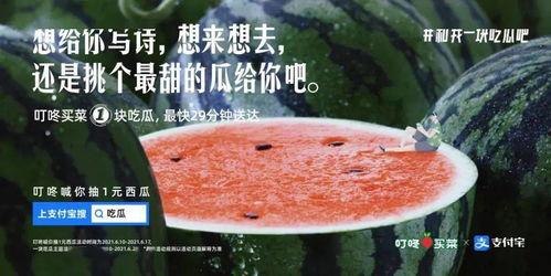 啃着吃瓜文案,揭秘吃瓜界的趣味文案