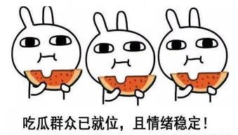 路过的吃瓜人6,一场网络热传的神秘事件