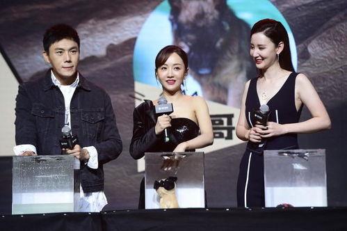 全网明星吃瓜合集,娱乐圈幕后故事全收录