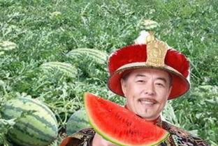 吃瓜老农,揭秘农村生活的酸甜苦辣