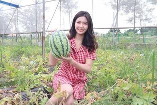 外围网红吃瓜福利,外围圈层的热闹盛宴