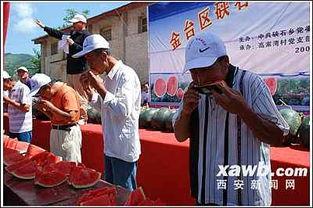 农民工吃瓜,瓜果飘香里的甜蜜时光