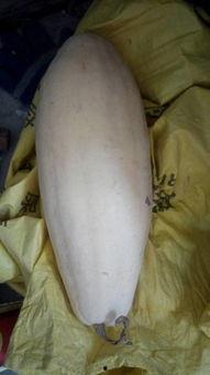 大晚上邻居吃瓜,揭秘社区生活点滴