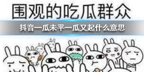 抖音专业吃瓜,揭秘娱乐圈幕后真相