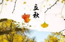 古人吃瓜的习俗,揭秘古人消夏解暑的“瓜果盛宴”