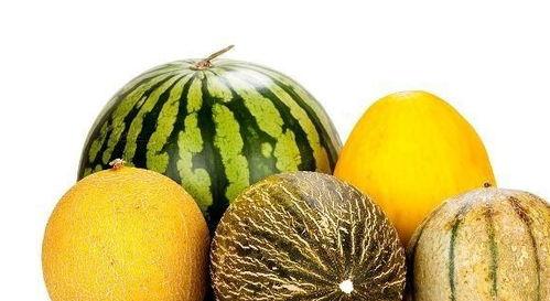 吃老瓜有什么好,探寻吃老瓜的独特风味与营养价值