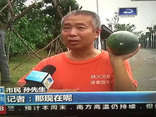 白河吃瓜群众事件,一场网络舆论的风暴与反思