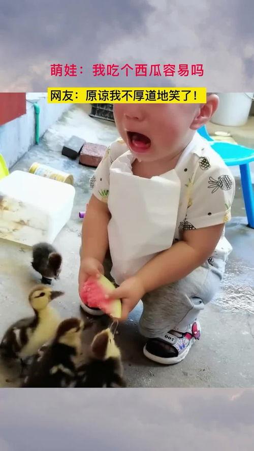 萌娃暴力吃瓜,萌态十足引网友爆笑
