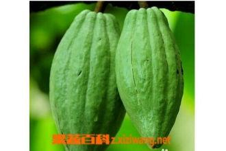 酱乳瓜怎么吃,解锁美味新体验