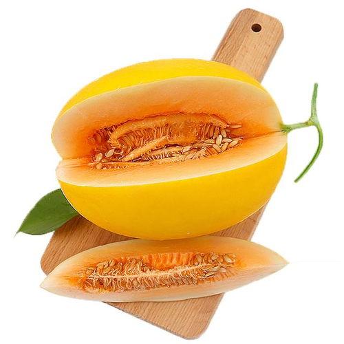 道士可以吃蜜瓜,蜜瓜的神奇功效