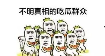 路人吃瓜群众,揭秘娱乐圈幕后真相